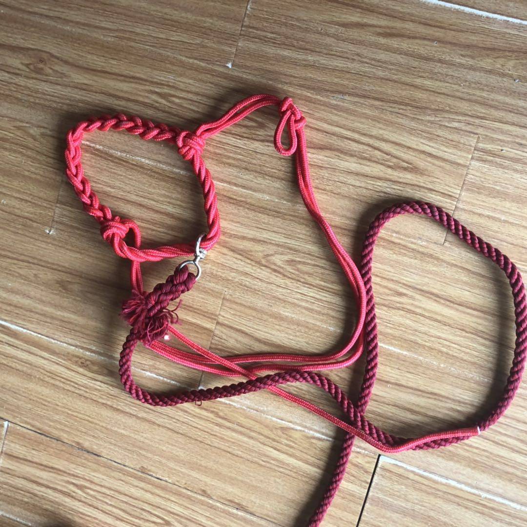 The head with the rope